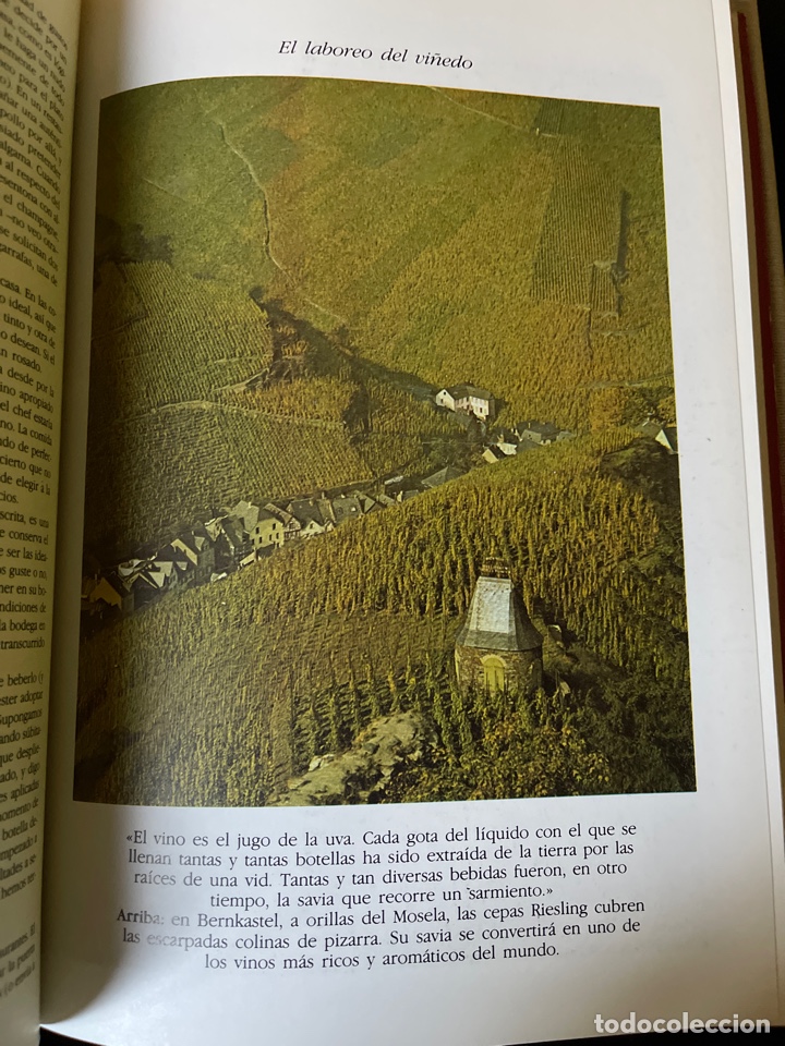 Libros de segunda mano: El vino. Hugh Johnson. Folio - Foto 4