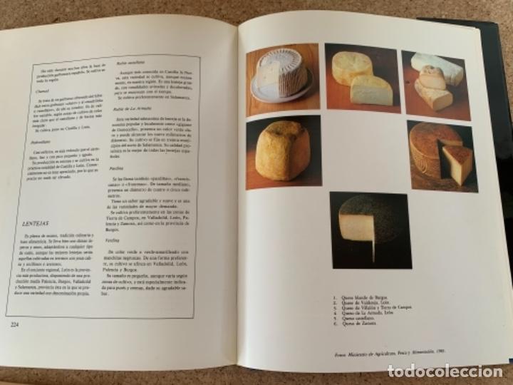 Libros de segunda mano: Libro de la gastronom&iacute;a de Castilla y Le&oacute;n - Foto 6