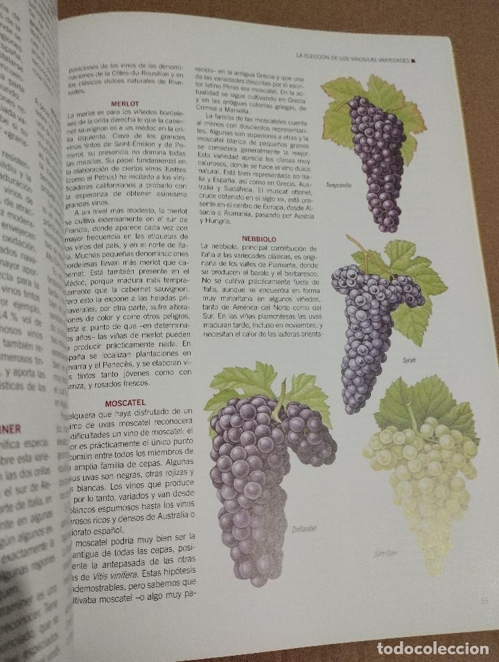Libros de segunda mano: VINOS DE ESPA&Ntilde;A (LAROUSSE) - Foto 10