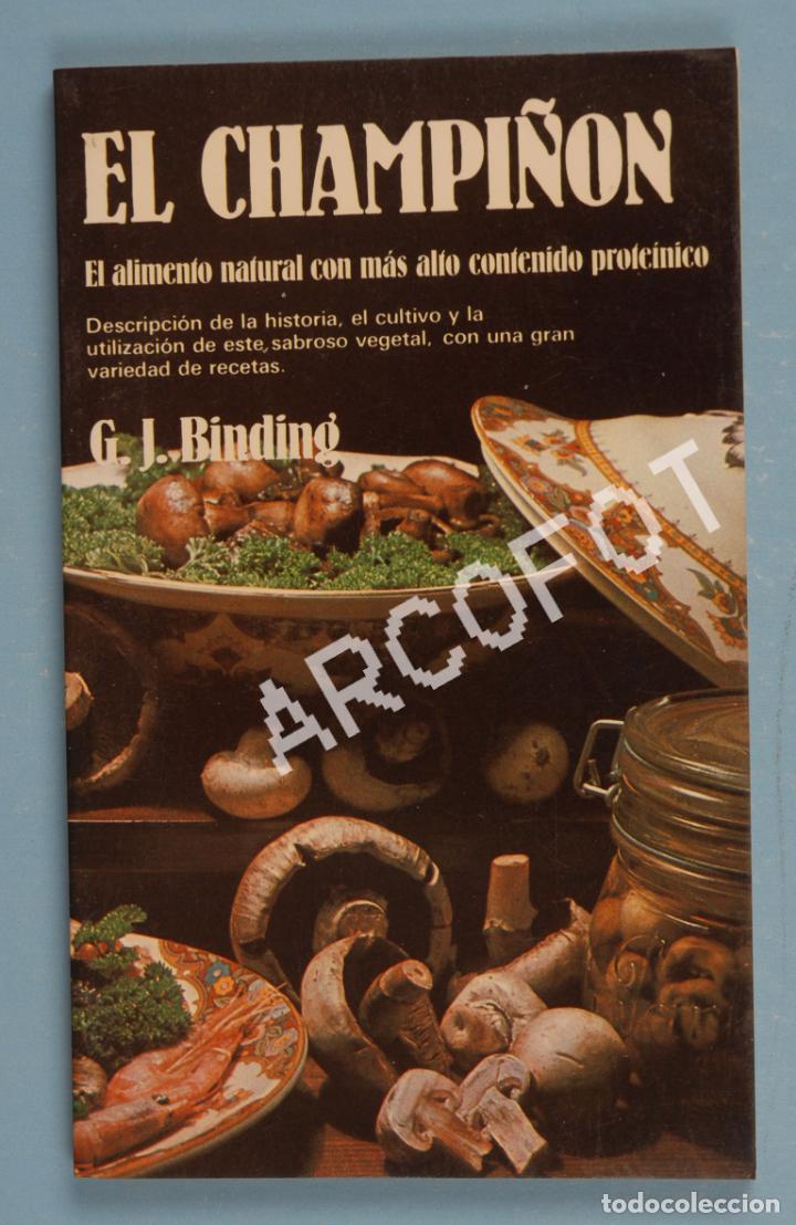 Libros de segunda mano: G. J. BINDING - EL CHAMPI&Ntilde;&Oacute;N - EDAF 1982 - Foto 1
