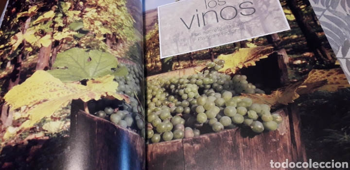 Libros de segunda mano: LOS VINOS, LAROUSSE, - Foto 2