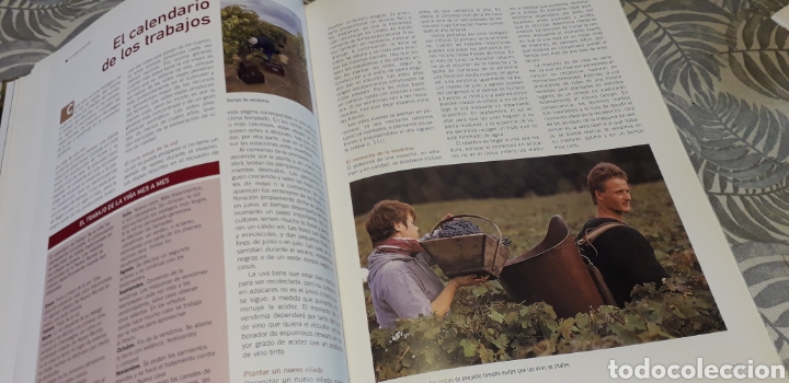 Libros de segunda mano: LOS VINOS, LAROUSSE, - Foto 5