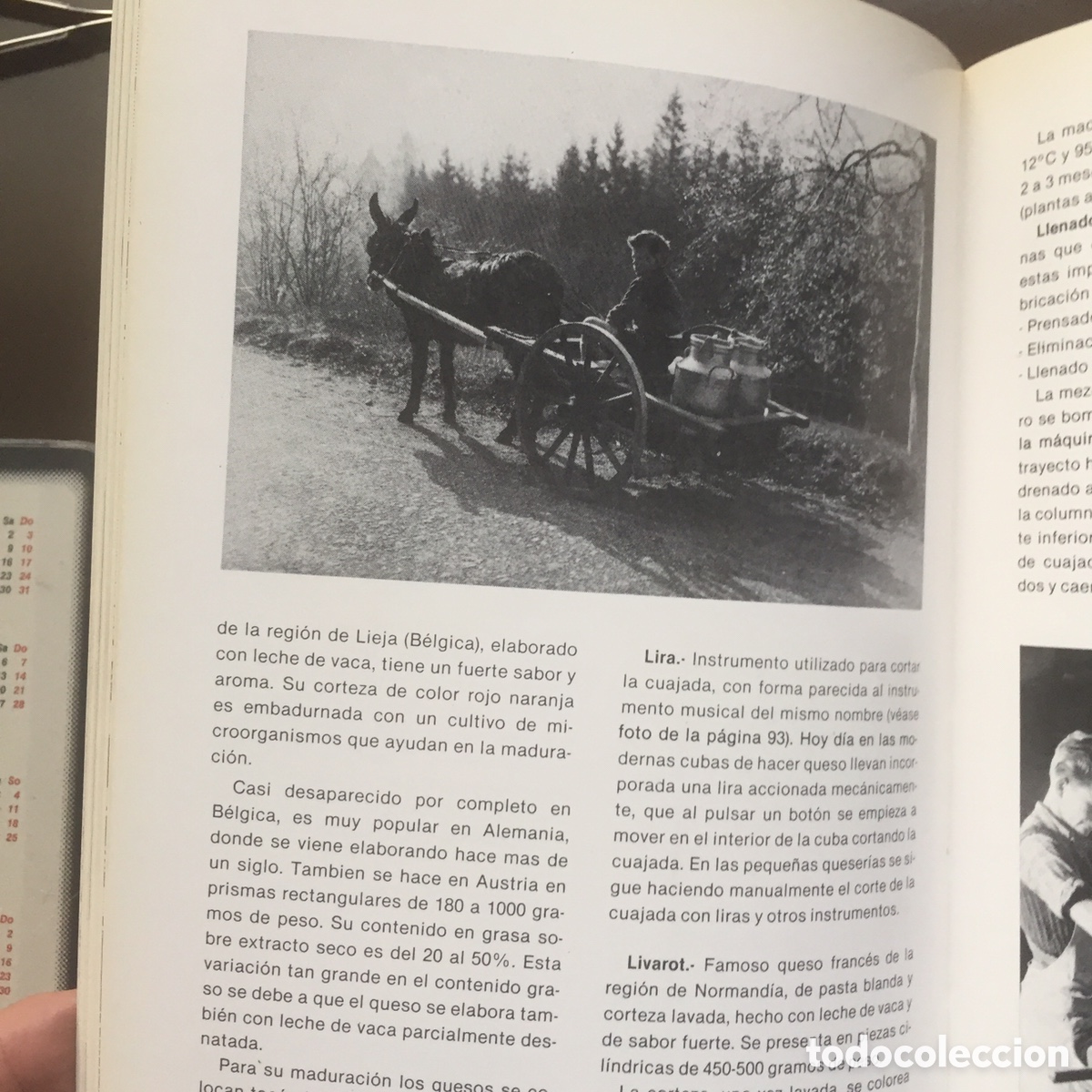 Libros de segunda mano: EL LIBRO DE LOS QUESOS ANTONIO MADRID 1983 - Foto 4