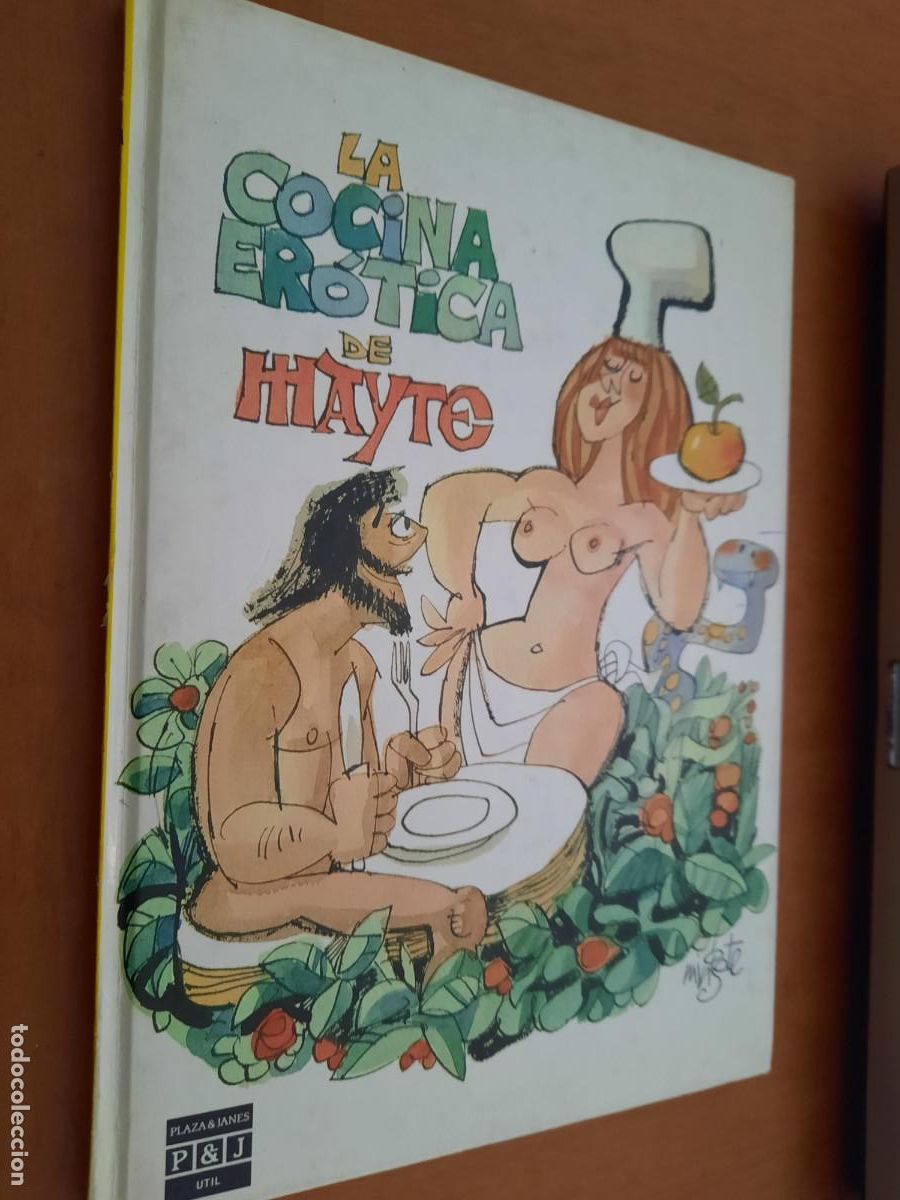 Gebrauchte B&uuml;cher: LA COCINA ER&Oacute;TICA DE MAYTE. MAYTE. MINGOTE Y OTROS. PLAZA Y JAN&Eacute;S. TAPA DURA. BUEN ESTADO
