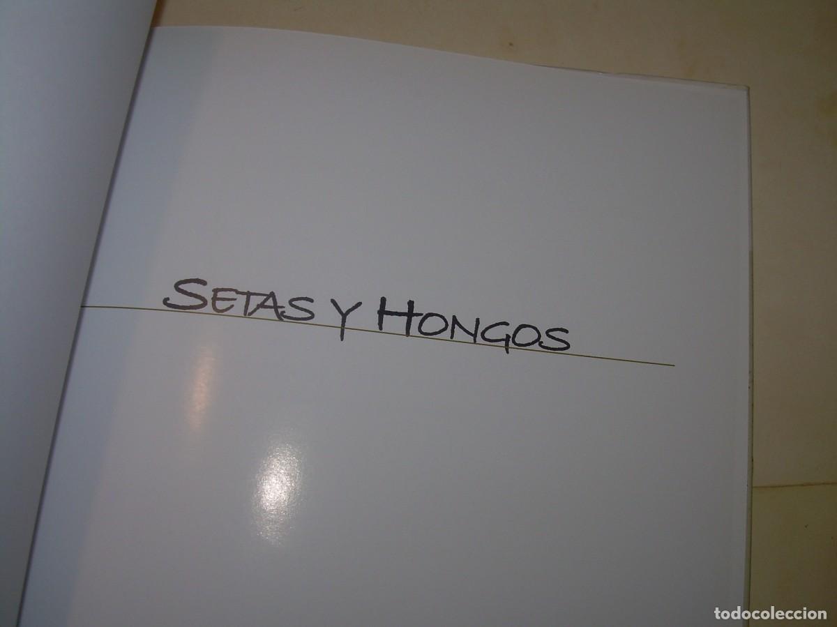 Libros de segunda mano: LIBRO DE COCINAR SETAS Y HONGOS. - Foto 2