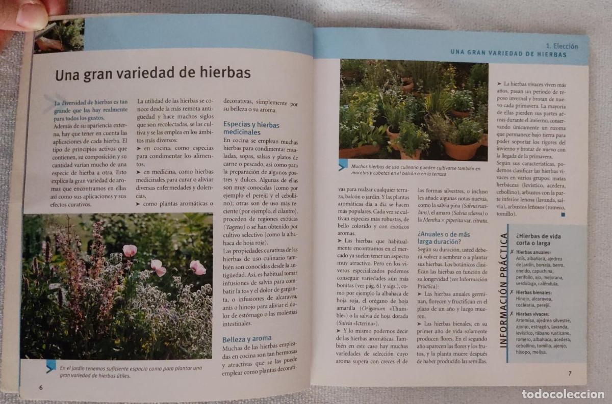Libros de segunda mano: HIERBAS PARA COCINAR. - Foto 5