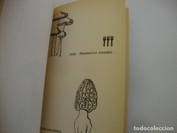 Libros de segunda mano: RECETARIO DE SETAS - Foto 3