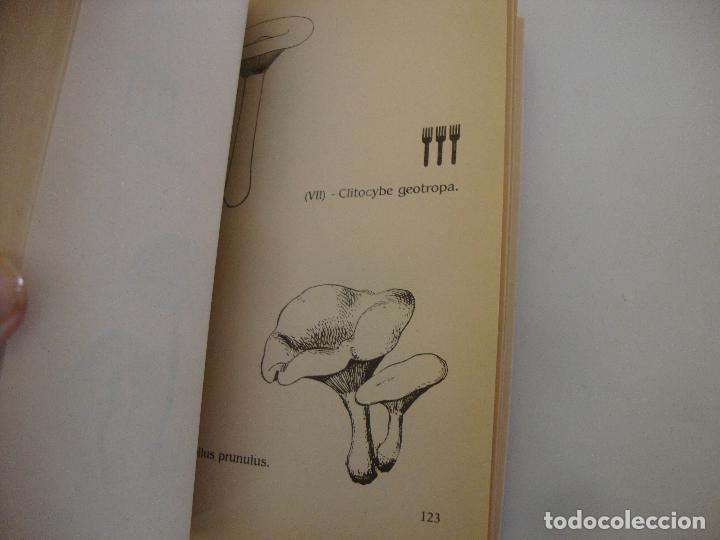Libros de segunda mano: RECETARIO DE SETAS - Foto 4