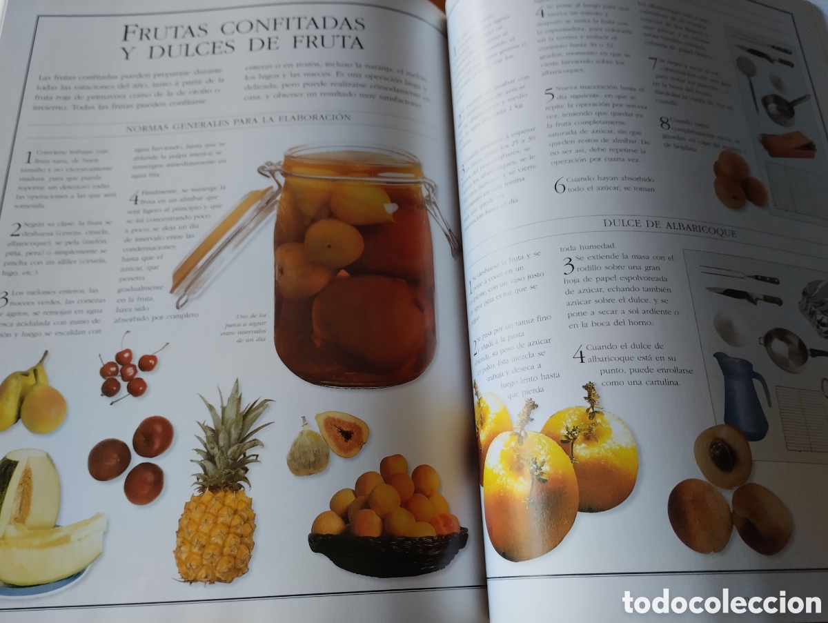 Libros de segunda mano: EL LIBRO DE LAS CONSERVAS - Foto 6