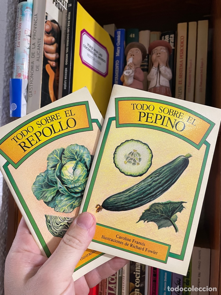 Gebrauchte B&uuml;cher: Todo sobre el repollo y el pepino (cocina y salud)