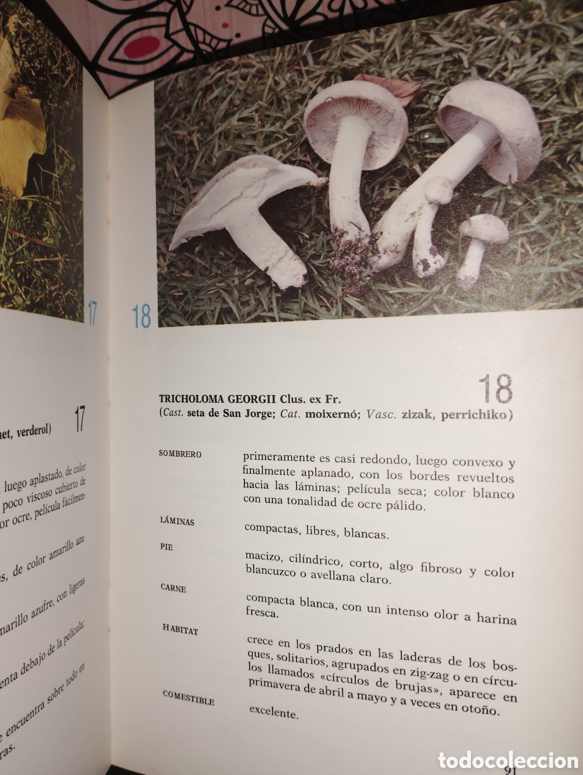 Libros de segunda mano: El Gran libro de las setas - Foto 3