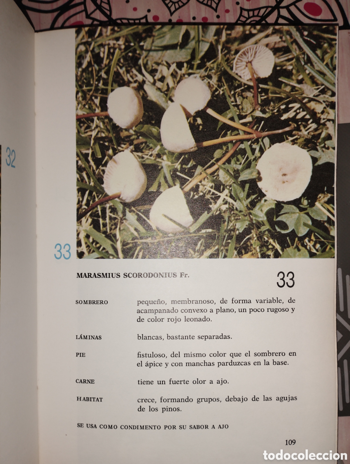 Libros de segunda mano: El Gran libro de las setas - Foto 5