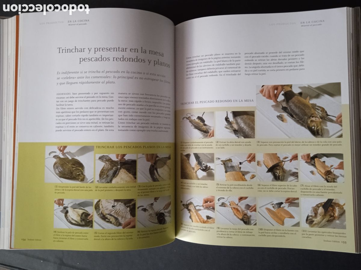 Libros de segunda mano: PESCADOS Y MARISCOS. TEUBNER. 2005 - Foto 7