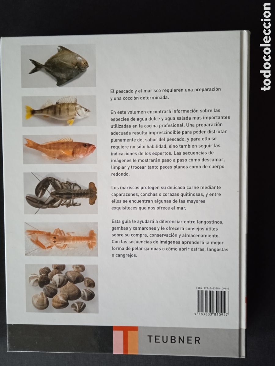 Libros de segunda mano: PESCADOS Y MARISCOS. TEUBNER. 2005 - Foto 2