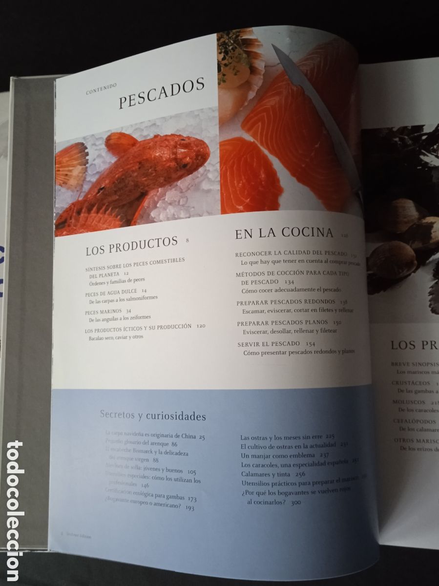 Libros de segunda mano: PESCADOS Y MARISCOS. TEUBNER. 2005 - Foto 3