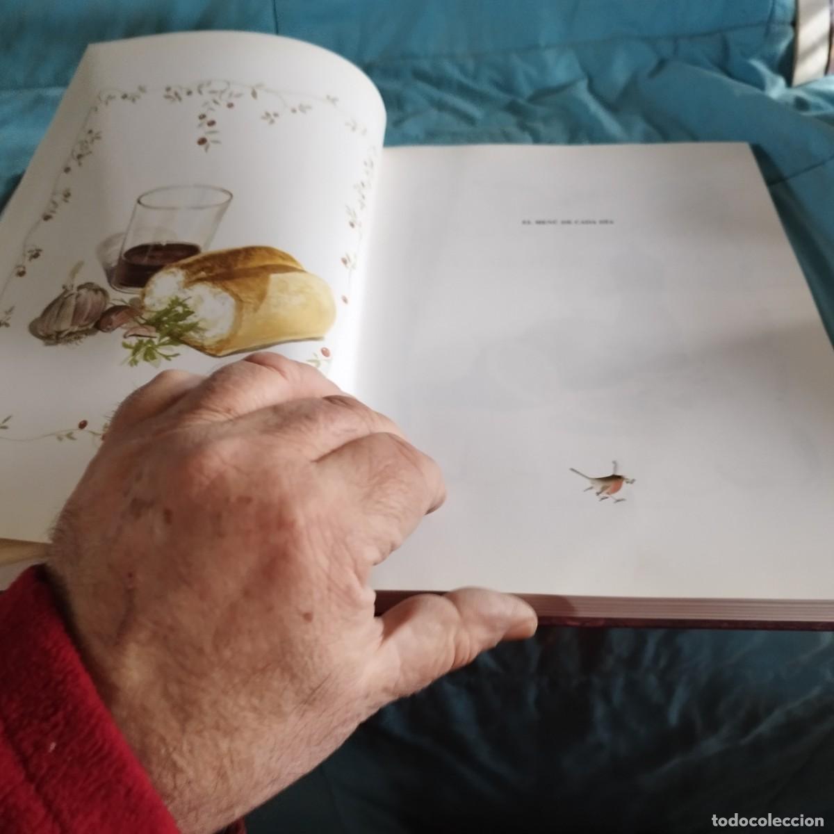 Libros de segunda mano: EL MENU DE CADA DIA / KARLOS ARGUI&Ntilde;ANO / CON 663 GV E / EDICIONES DEL SERBAL - Foto 5
