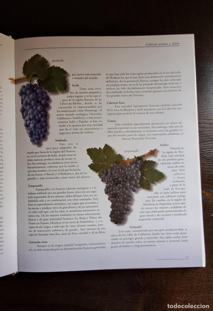 Libros de segunda mano: Saber de vinos. Concha Baeza. - Foto 2