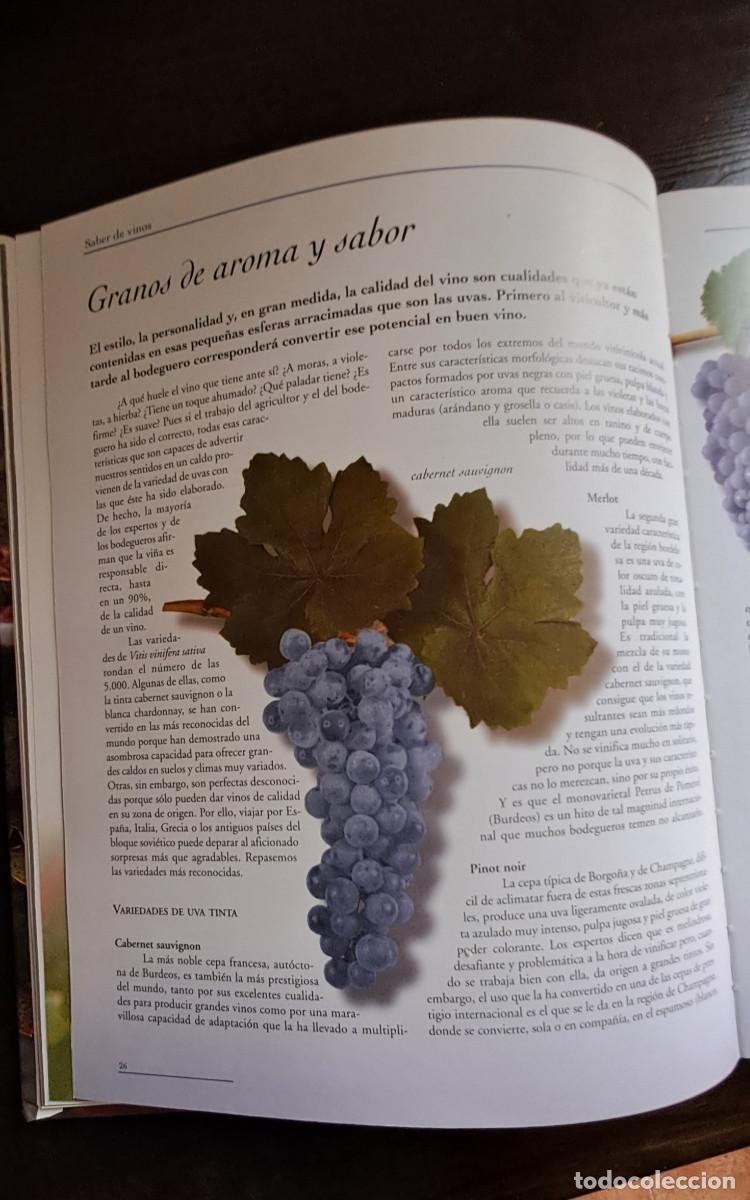 Libros de segunda mano: Saber de vinos. Concha Baeza. - Foto 3