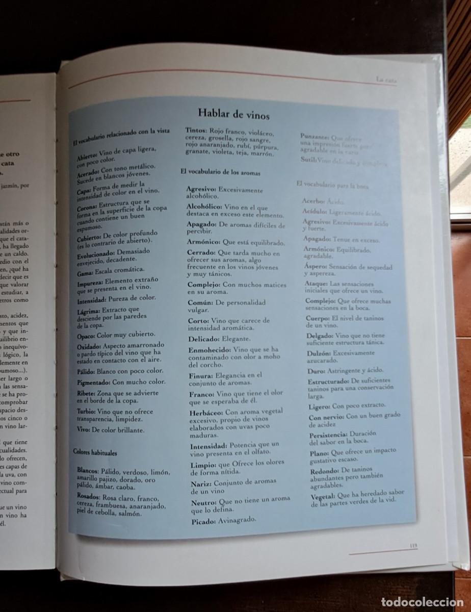 Libros de segunda mano: Saber de vinos. Concha Baeza. - Foto 6