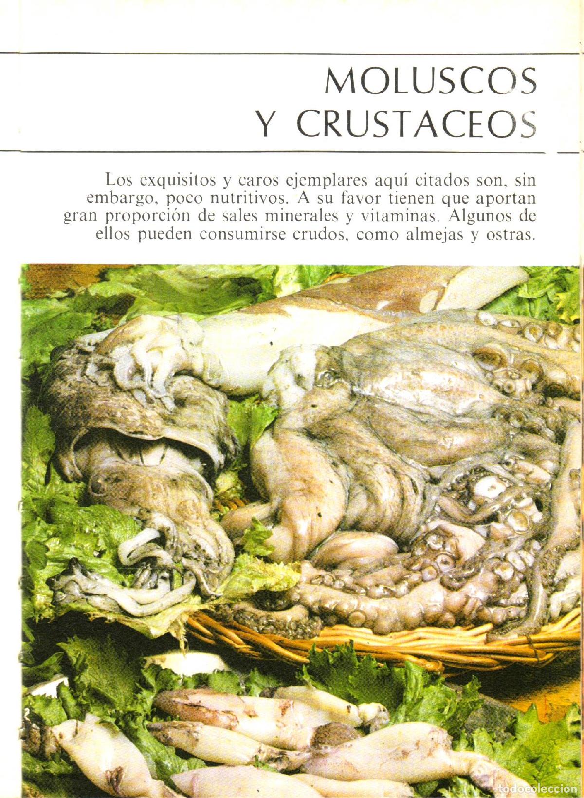 Libros de segunda mano: Tecnicas basicas - Foto 2