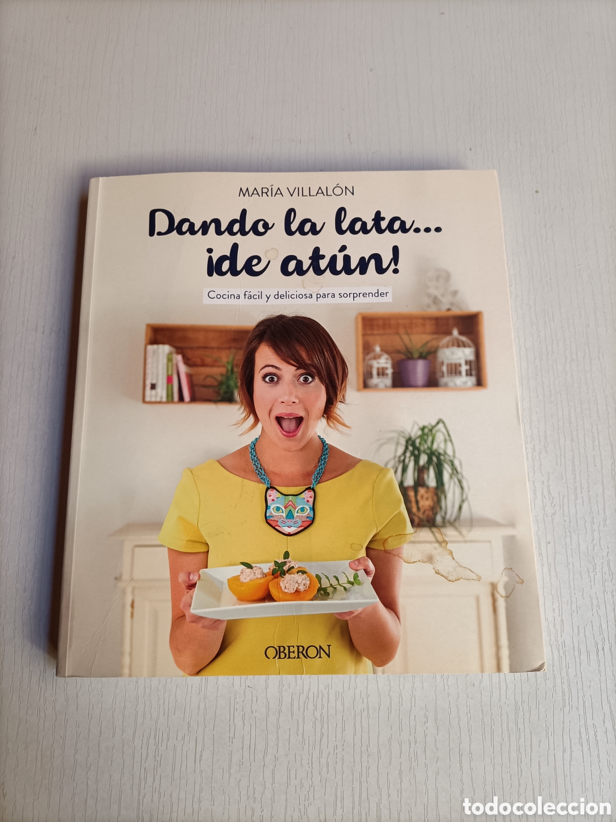 Gebrauchte B&uuml;cher: Dando la lata.... de at&uacute;n .Cocina f&aacute;cil y deliciosa para sorprender. Ana Villalon