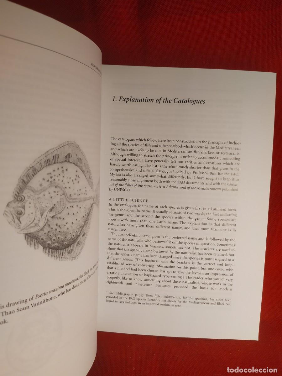 Libros de segunda mano: 2004. Mediterranean Seafood. Alan Davidson. - Foto 5