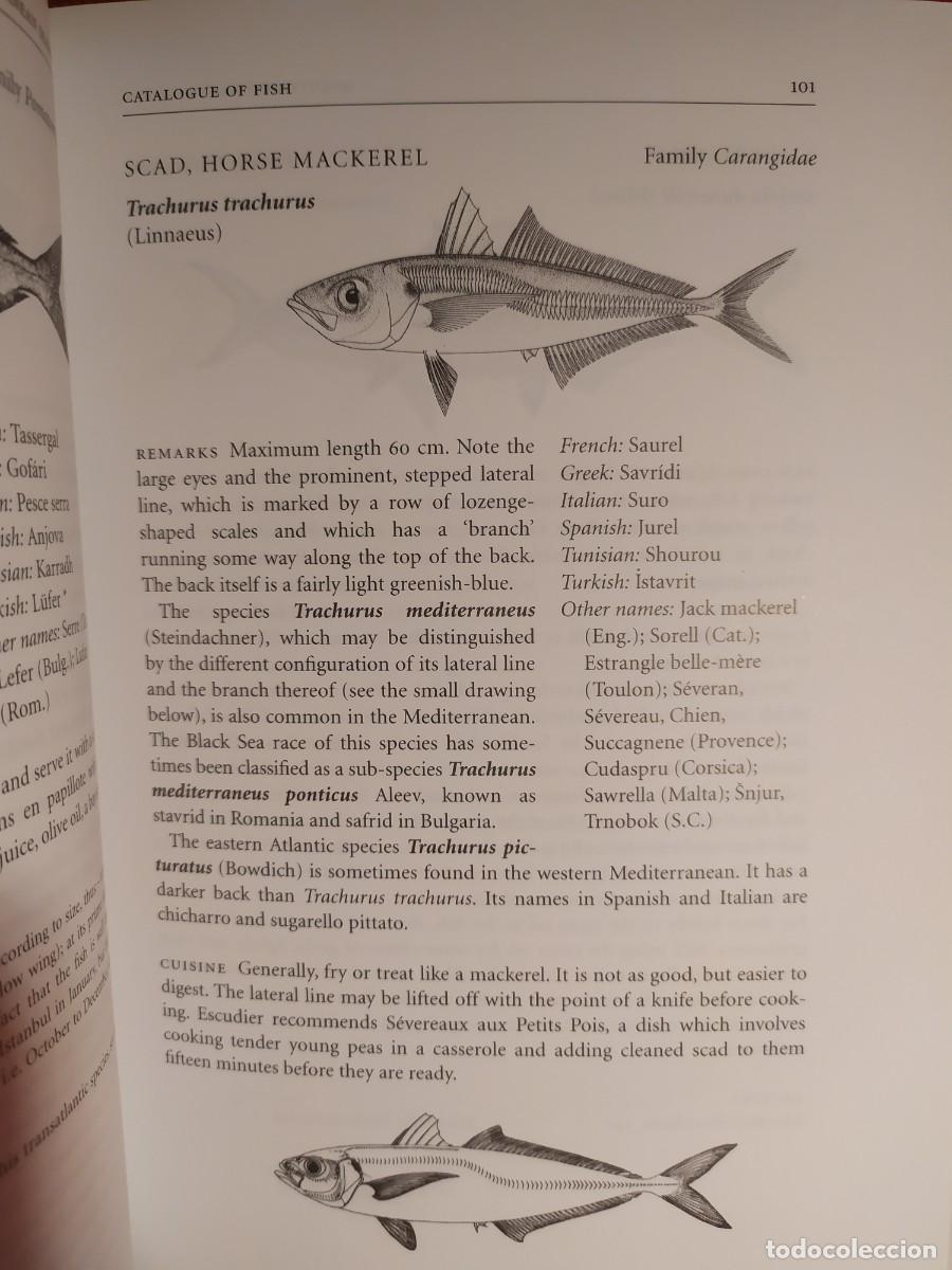 Libros de segunda mano: 2004. Mediterranean Seafood. Alan Davidson. - Foto 10