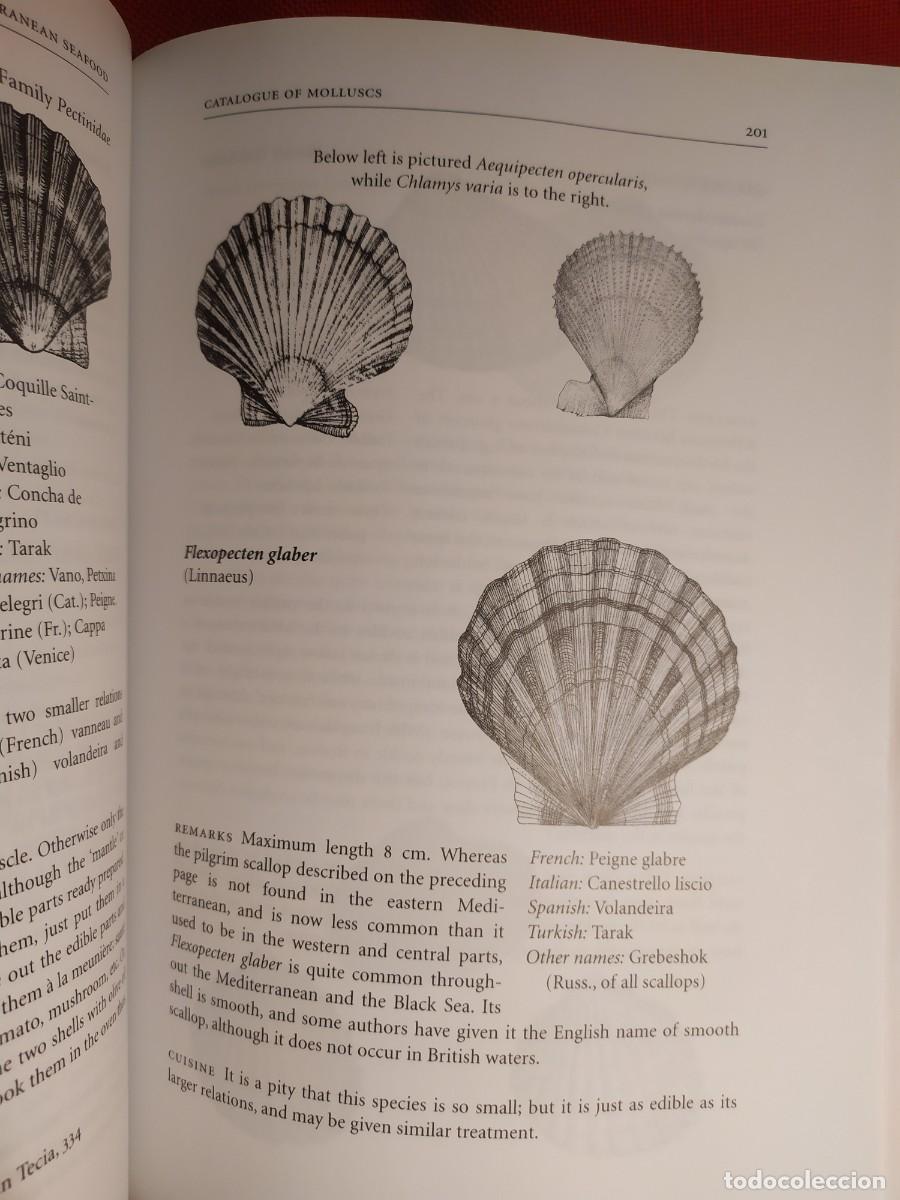 Libros de segunda mano: 2004. Mediterranean Seafood. Alan Davidson. - Foto 12
