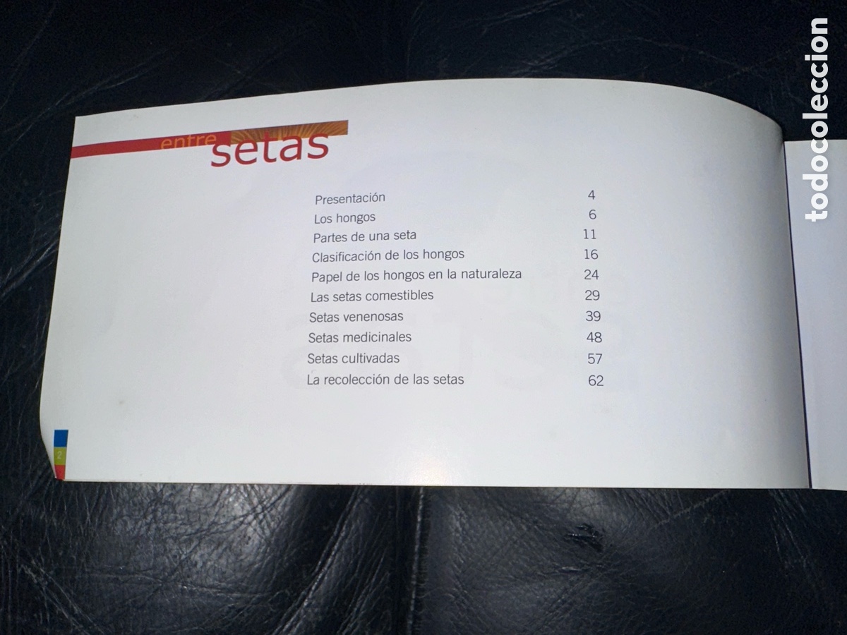 Libros de segunda mano: Entre setas cajastur - Foto 2