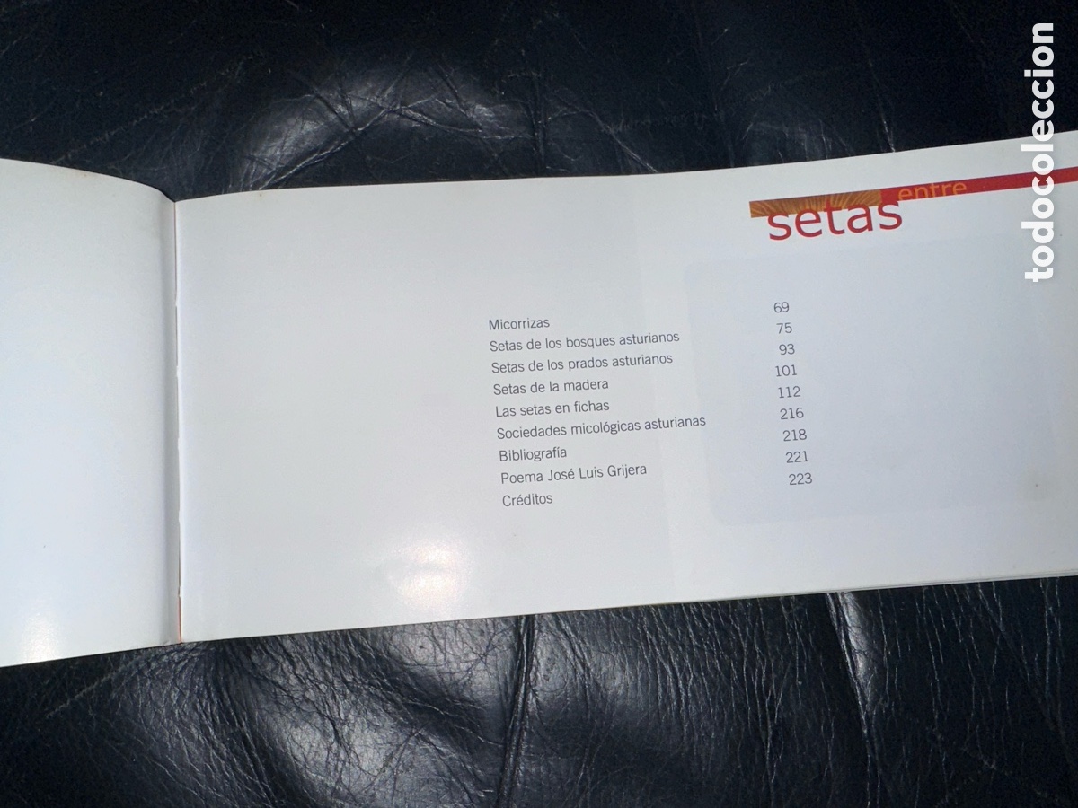 Libros de segunda mano: Entre setas cajastur - Foto 3