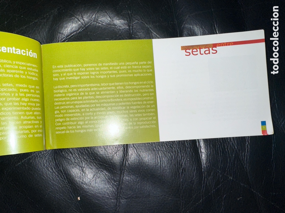 Libros de segunda mano: Entre setas cajastur - Foto 5