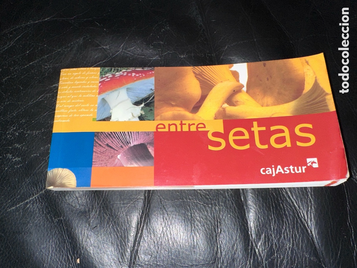 Libros de segunda mano: Entre setas cajastur - Foto 1