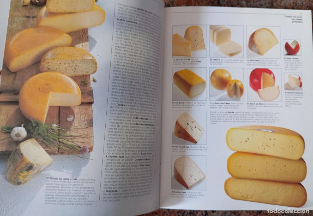 Libros de segunda mano: EL GRAN LIBRO DEL QUESO - CIRCULO DE LECTORES - Foto 2