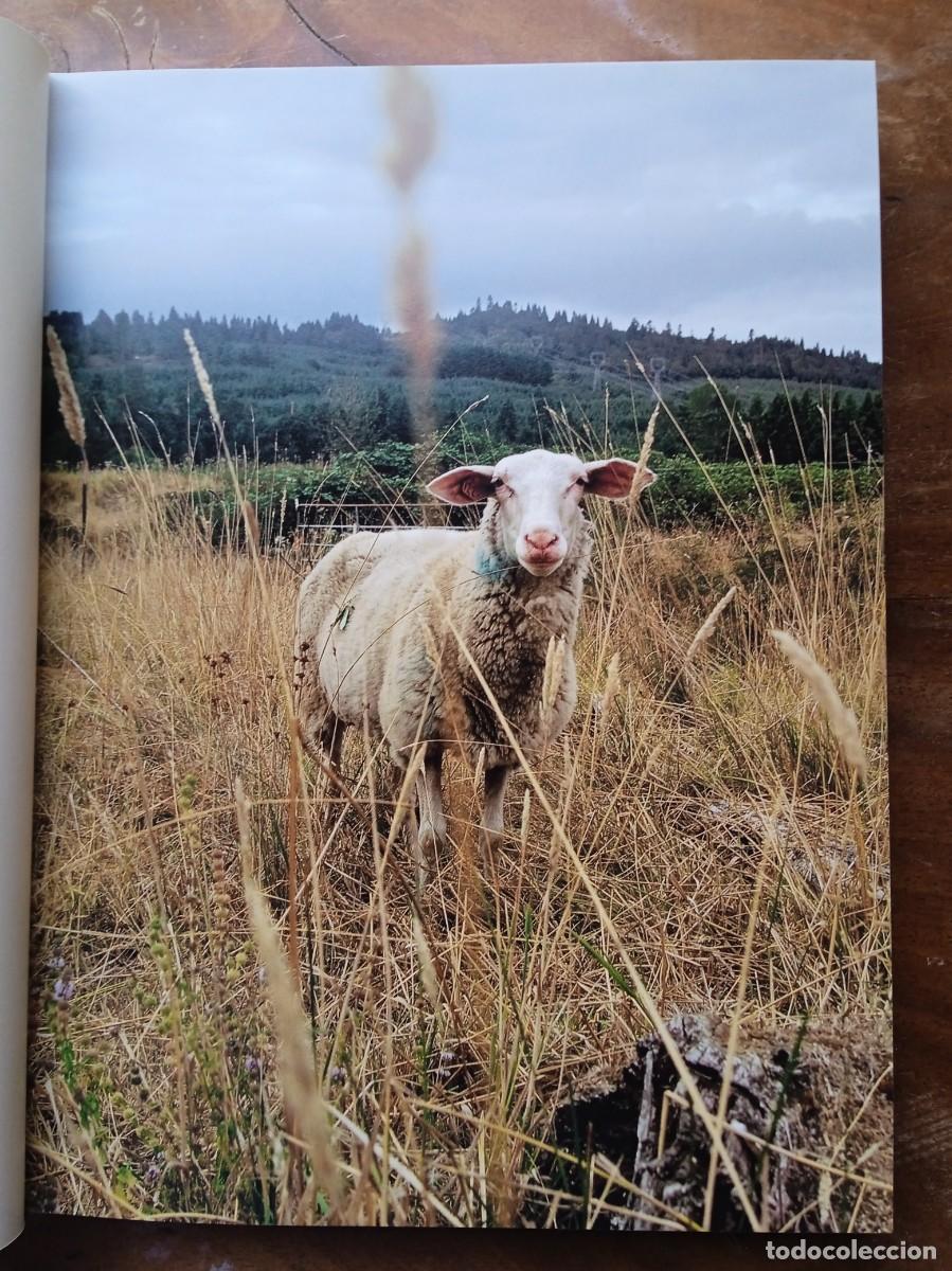 Libros de segunda mano: Mastering cheese. Maitre fromager Max McCalman - Foto 7