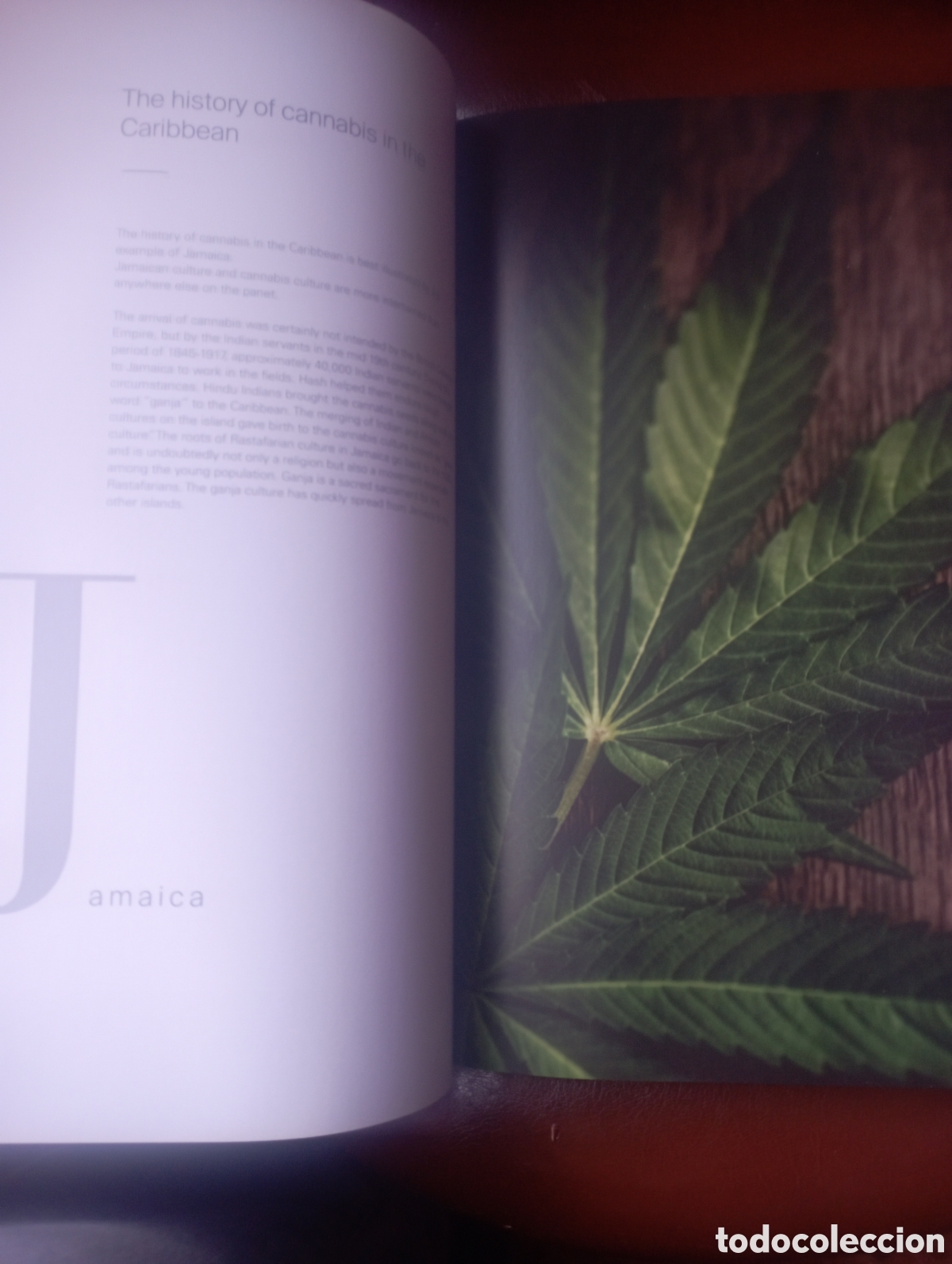 Libros de segunda mano: High Cuisine by Andr&eacute; Schneider - Foto 7