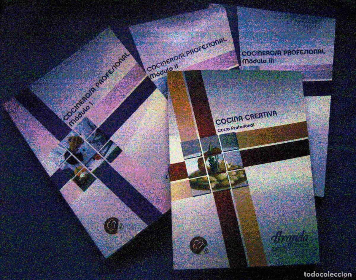 Libros de segunda mano: Cocinero-a profesional aranda formacion. Curso completo