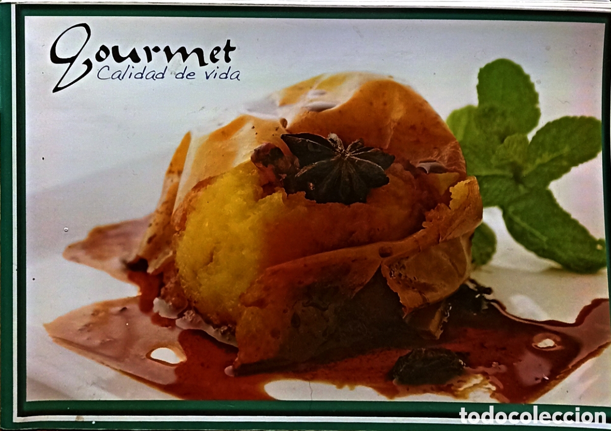 Libri di seconda mano: Libro de Instrucciones y recetario - Tower Slo-Cooker