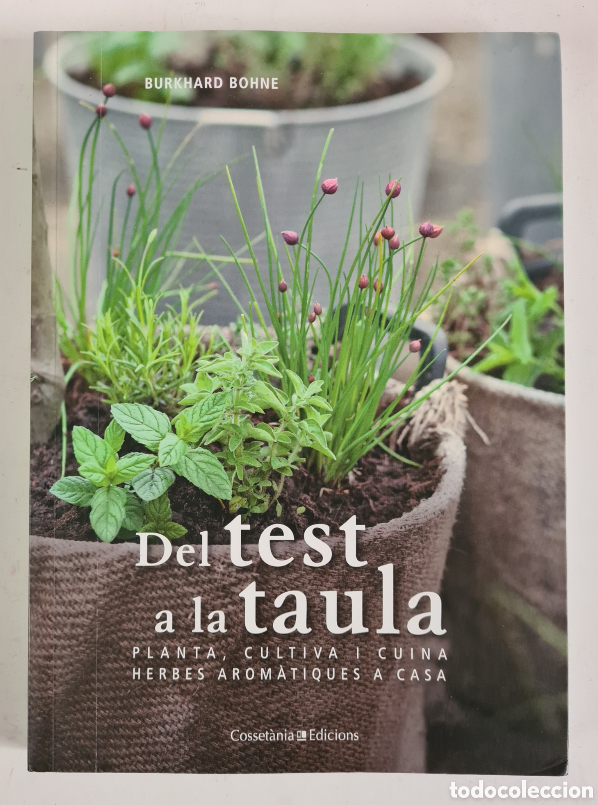 Libri di seconda mano: Del Test a la Taula Planta Cultiva Cuina Herbes Arom&agrave;tiques
