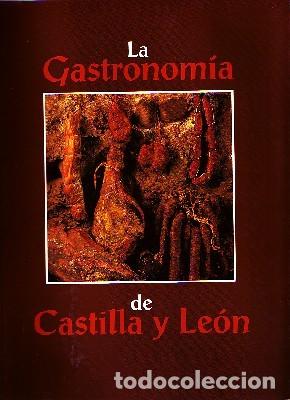 Libri di seconda mano: LA GASTRONOMIA DE CASTILLA Y LEON. FERNANDEZ POMBO, A./FERNANDEZ DEL VADO, S. C-264