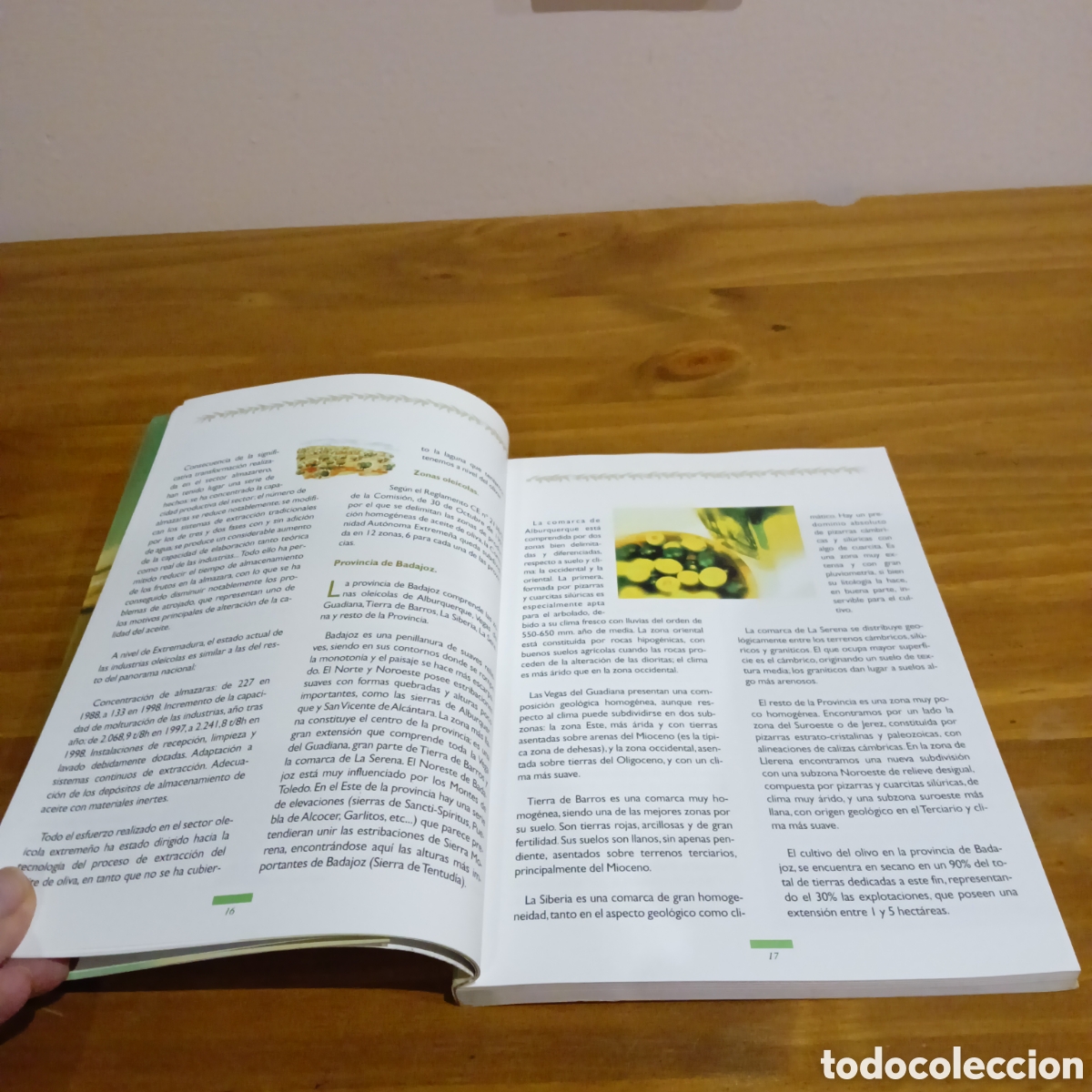 Libros de segunda mano: De verde y oro. Junta de Extremadura - Foto 3
