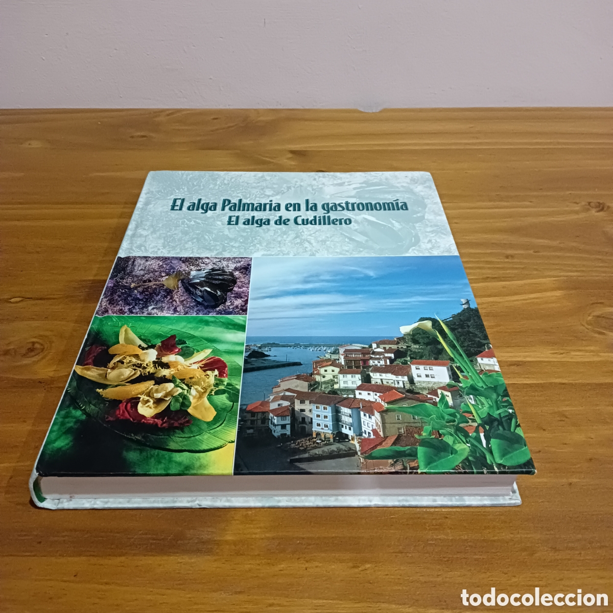 Libri di seconda mano: El alga palmaria en la gastronom&iacute;a