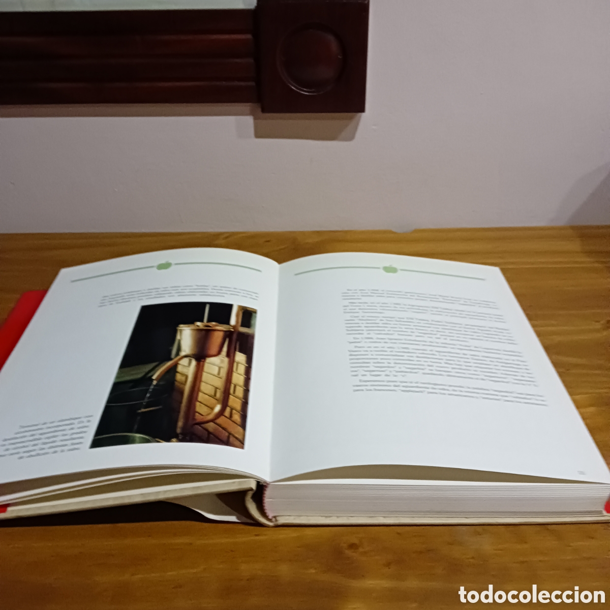 Libros de segunda mano: La Sidra . Sendoa agritaldaria. - Foto 10
