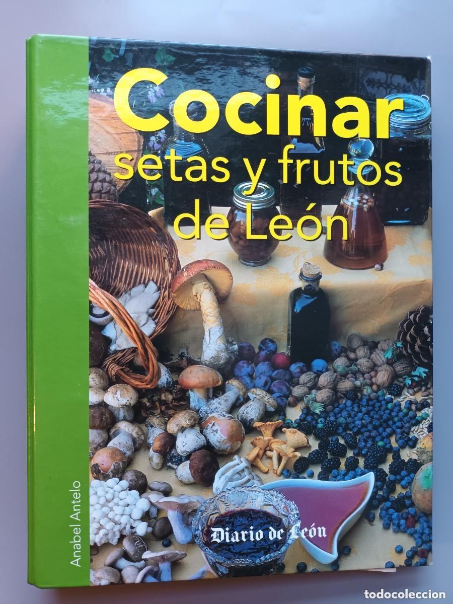Gebrauchte B&uuml;cher: COCINAR SETAS Y FRUTOS SILVESTRES DE LE&Oacute;N - EDILESA (LE&Oacute;N) 2006