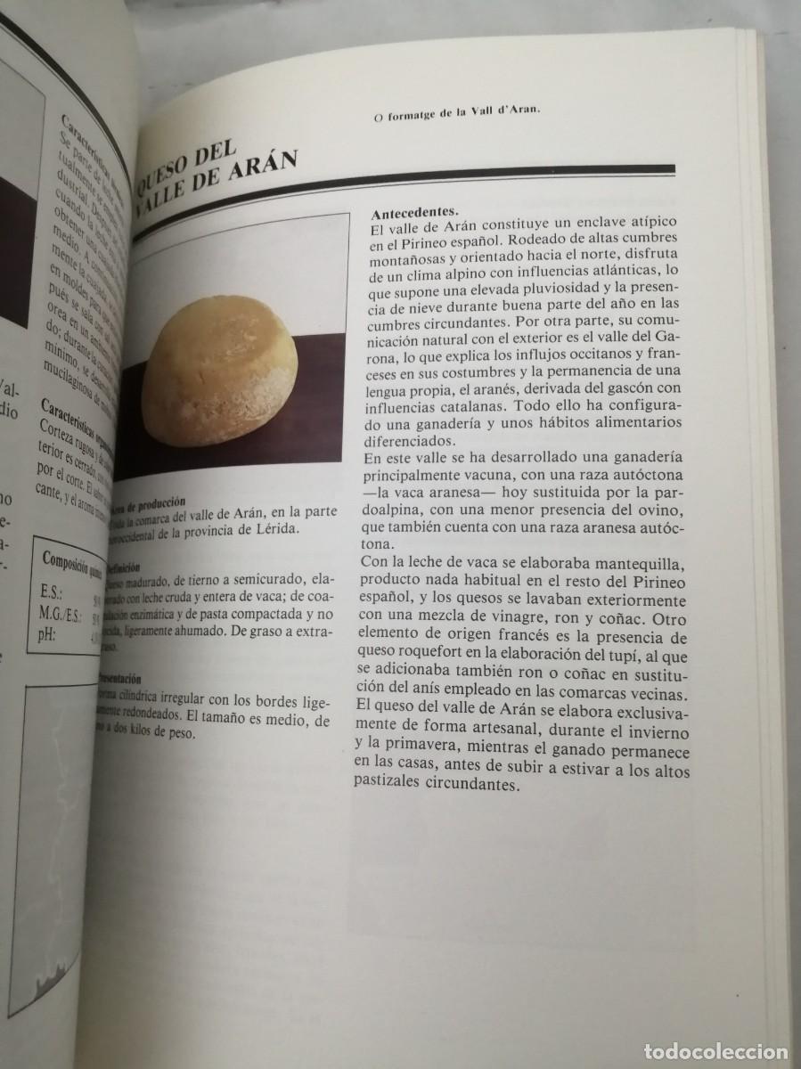 Libros de segunda mano: Cat&aacute;logo de quesos de Espa&ntilde;a - Foto 3