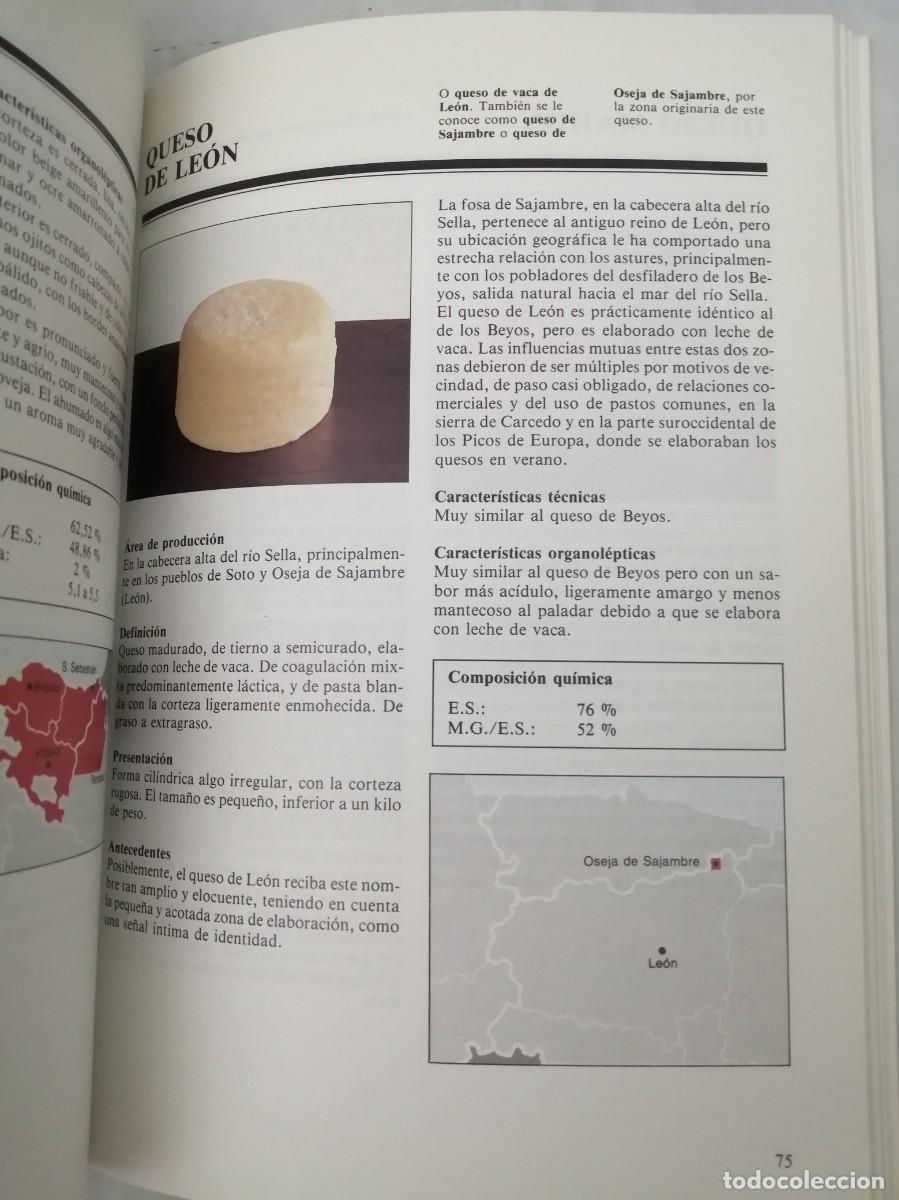 Libros de segunda mano: Cat&aacute;logo de quesos de Espa&ntilde;a - Foto 5