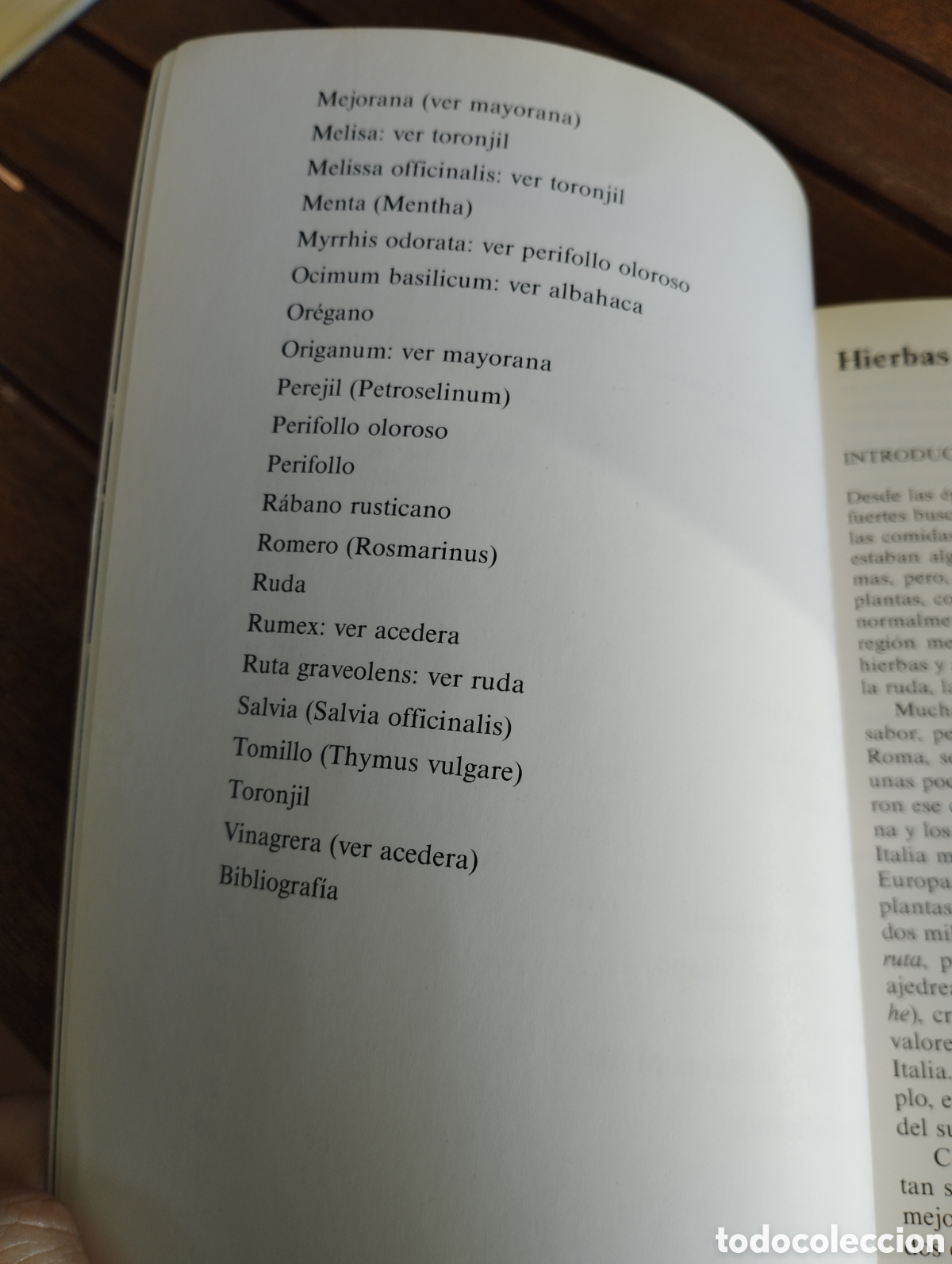 Zus&auml;tzliches Foto 4
