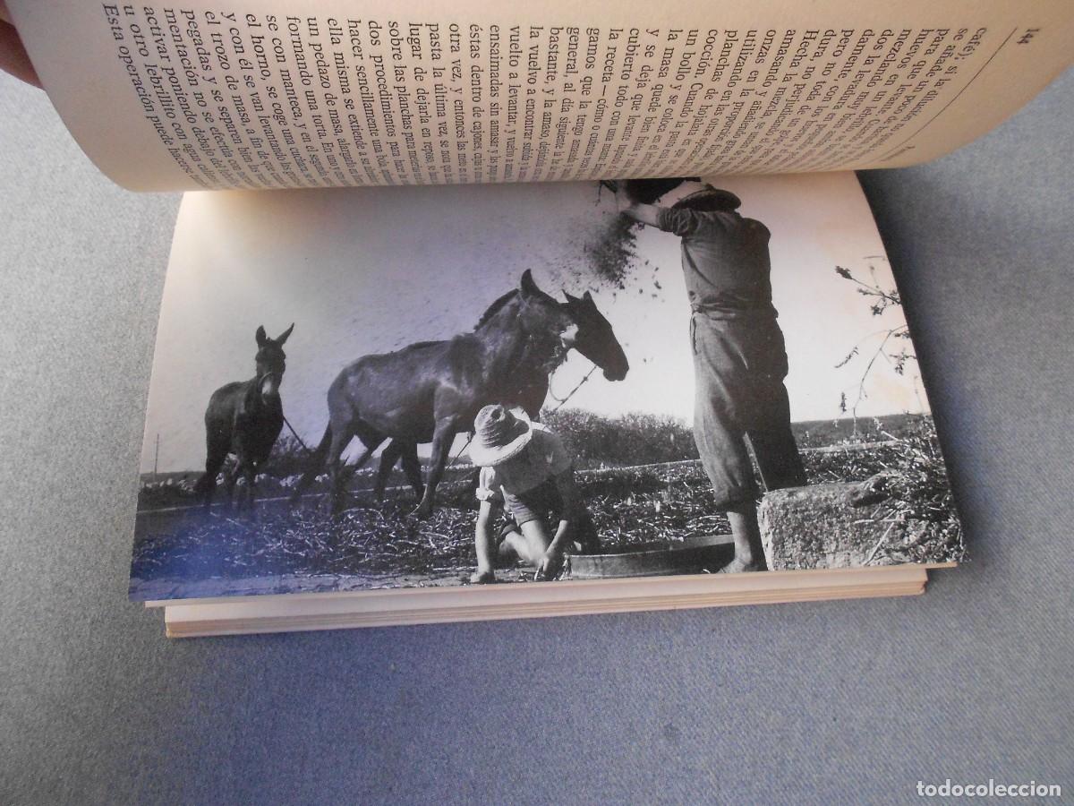 Libros de segunda mano: DE RE CIBARIA. PEDRO BALLESTER - Foto 3