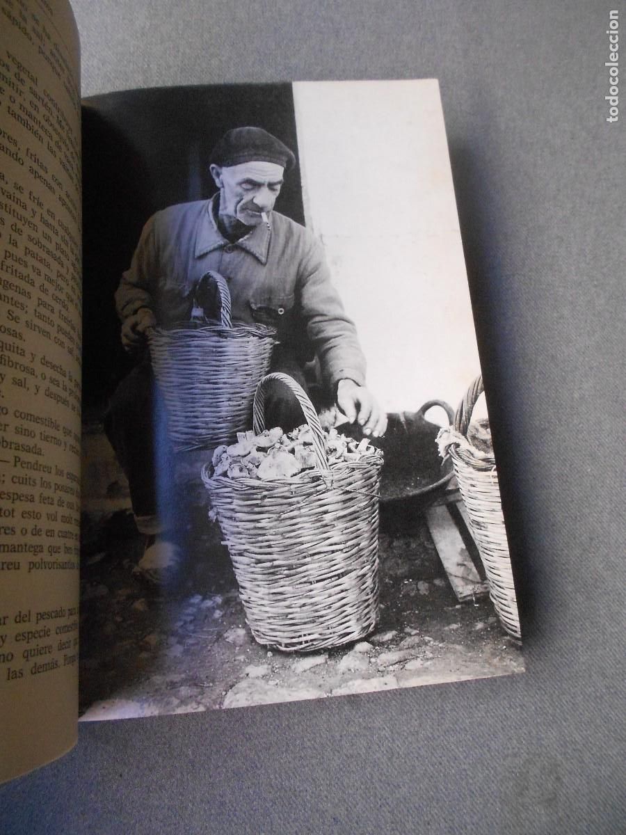 Libros de segunda mano: DE RE CIBARIA. PEDRO BALLESTER - Foto 5