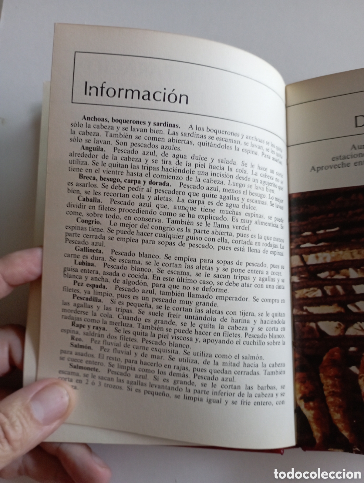 Libros de segunda mano: Biblioteca de oro de la cocina - Foto 5