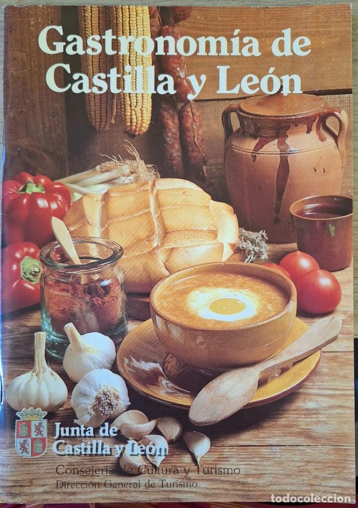 Libros de segunda mano: GASTRONOMIA DE CASTILLA Y LEON. - - Foto 1